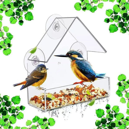 Clear Acrylic Window Bird Feeder with Suction Cups