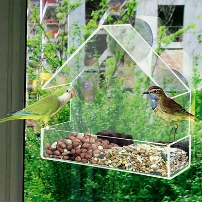 Clear Acrylic Window Bird Feeder with Suction Cups
