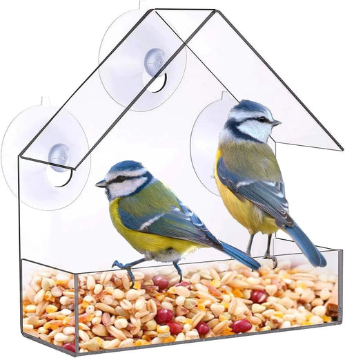 Clear Acrylic Window Bird Feeder with Suction Cups