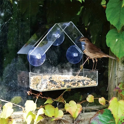 Clear Acrylic Window Bird Feeder with Suction Cups