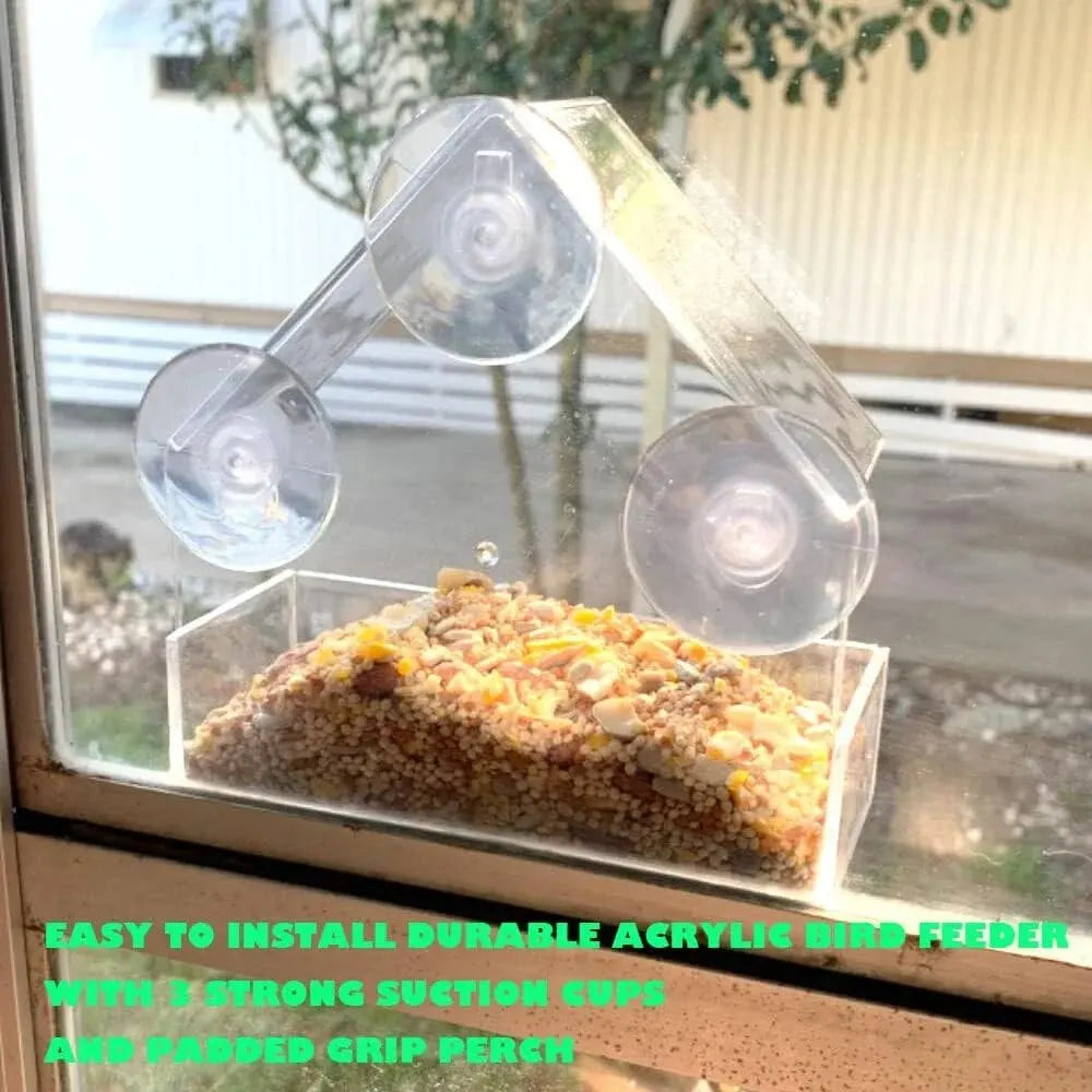 Clear Acrylic Window Bird Feeder with Suction Cups