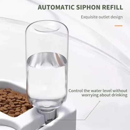 Dual-Function Pet Bowl: Stylish Hydration & Feeding Solution
